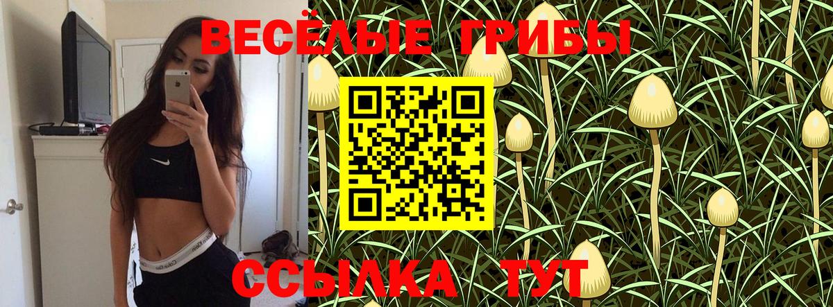 Псилоцибиновые грибы GOLDEN TEACHER Каменск-Уральский