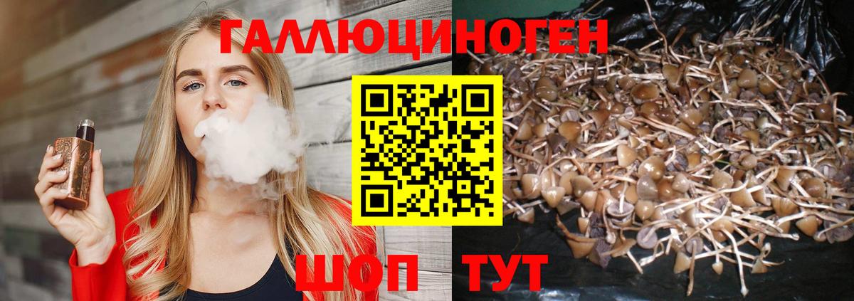 Каменск-Уральский  Псилоцибиновые грибы ЛСД  Вход с VPN 